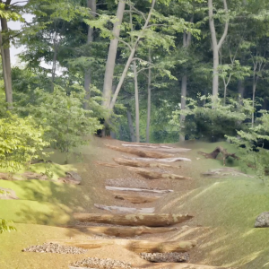 3Rd 5Th Grade Trail Hike