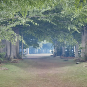 3Rd 5Th Grade Trail Run