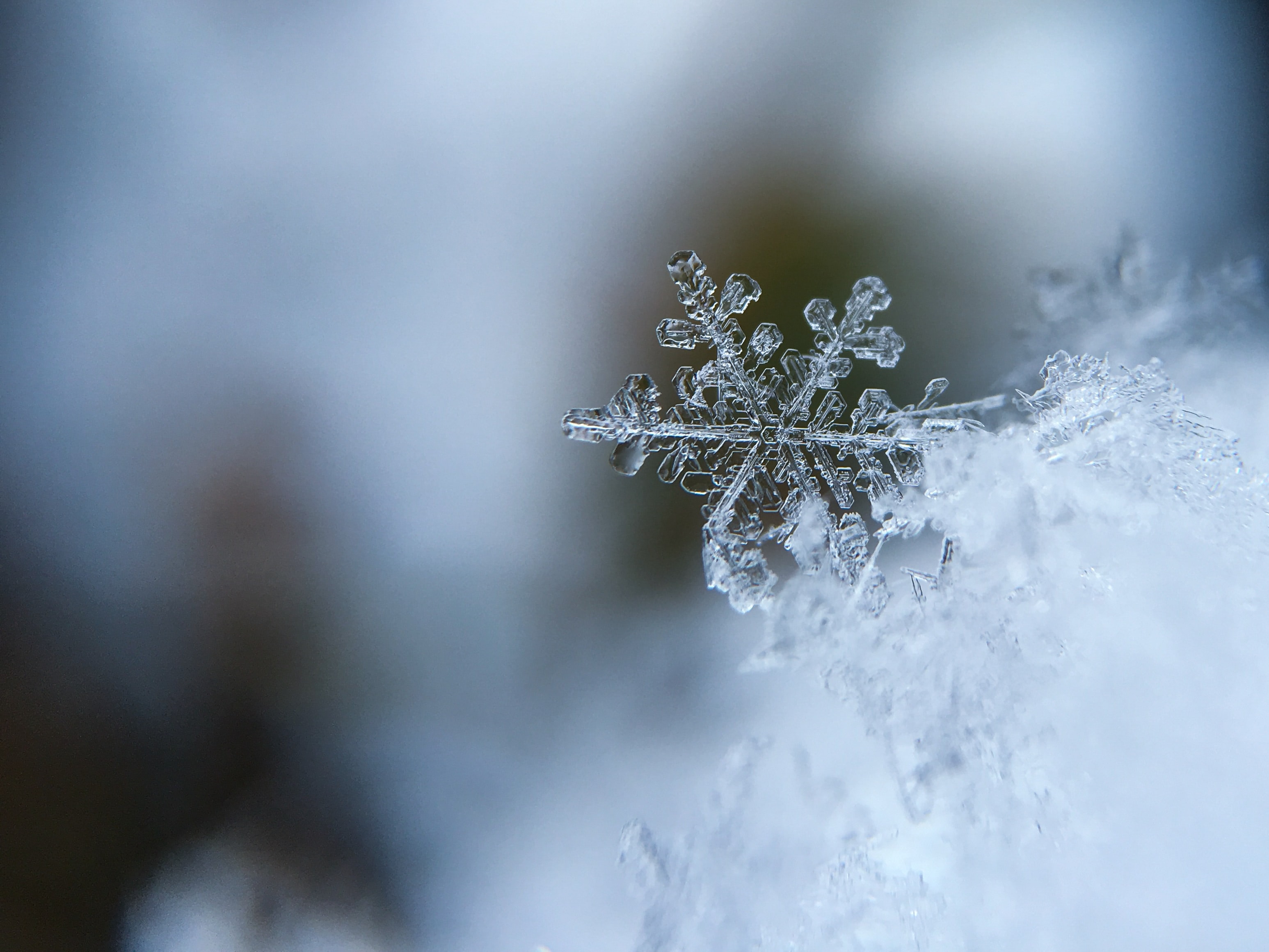 Aaron Burden 5Aiwn2u10cw Unsplash